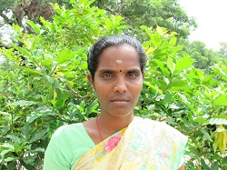 Vijaylakshmi